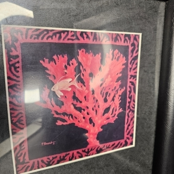 Pair of Original watercolors of red coral framed and signed by artist Peter Bren - Picture 3 of 9